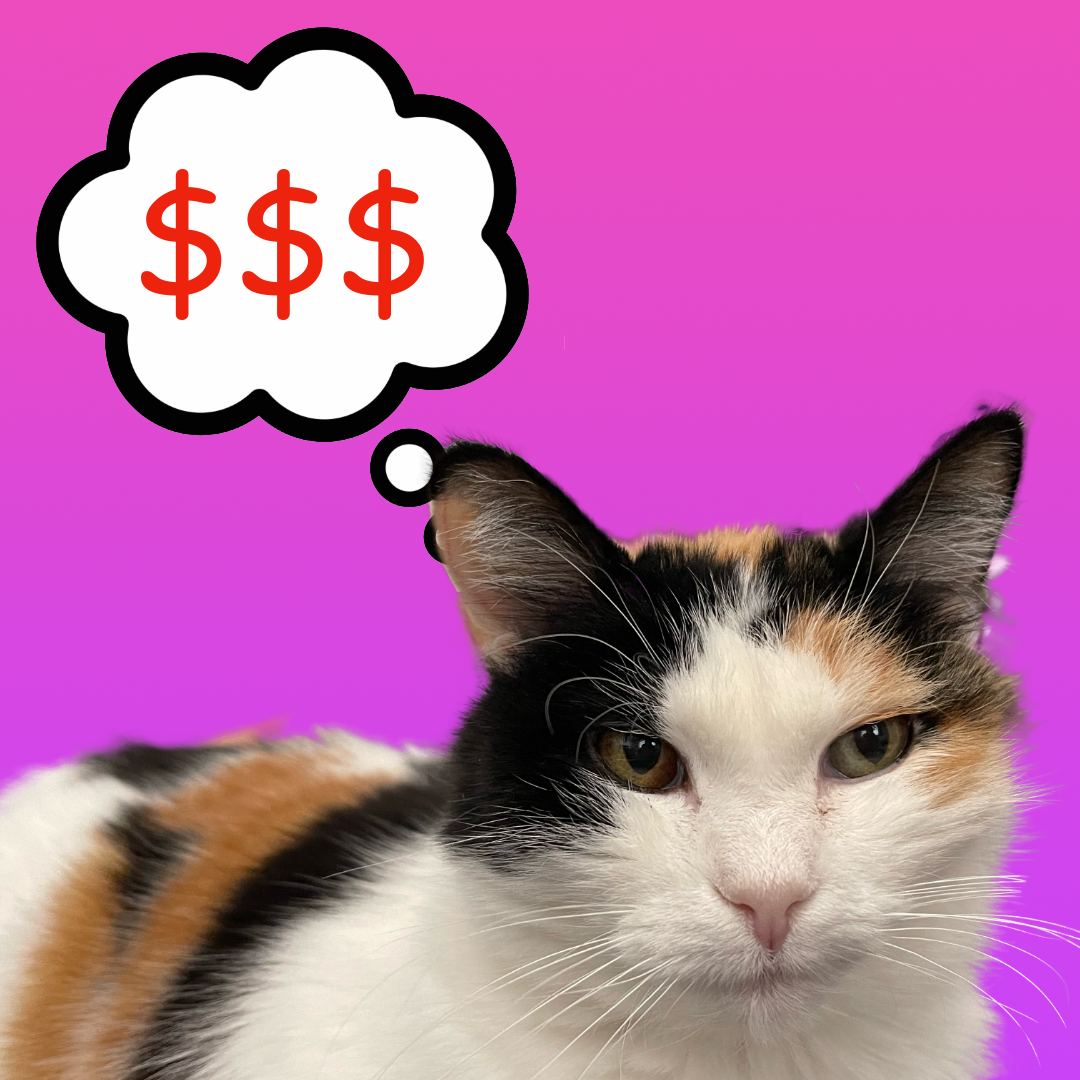 Patches thinking about all that money shes losing, something&rsquo;s gotta change&hellip;